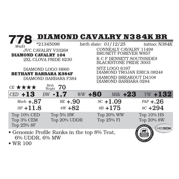 Diamond Cavalry N384K BR