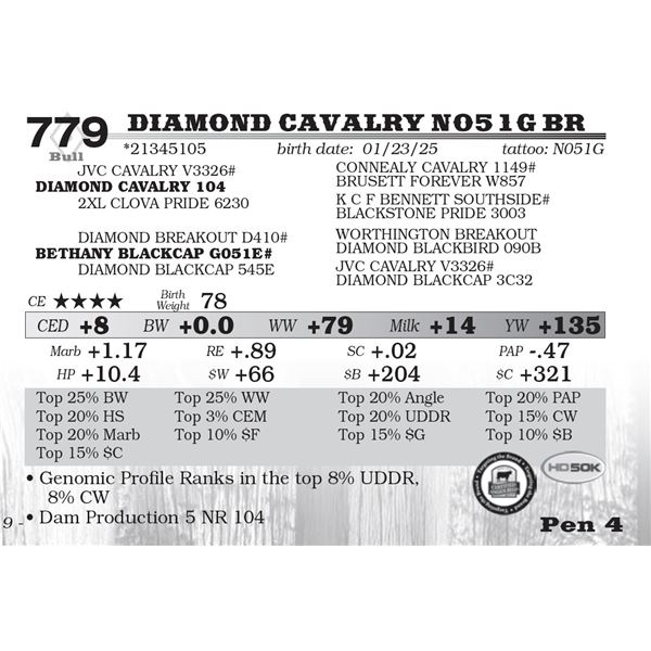 Diamond Cavalry N051G BR