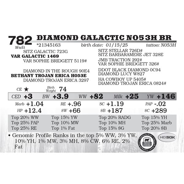 Diamond Galactic N053H BR
