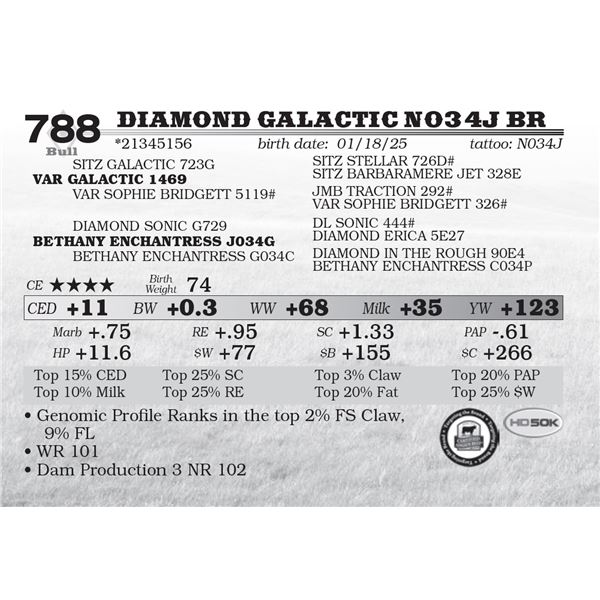 Diamond Galactic N034J BR