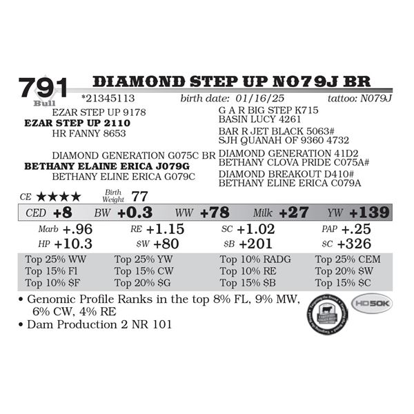 Diamond Step Up N079J BR