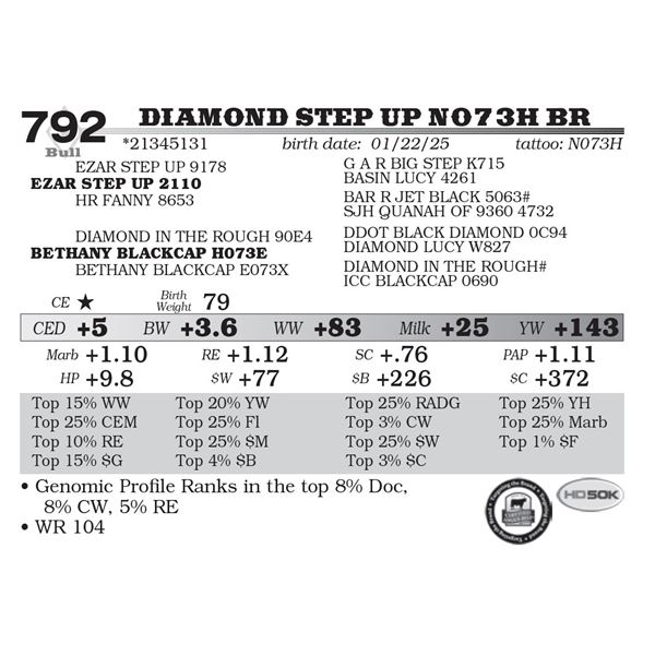 Diamond Step Up N073H BR