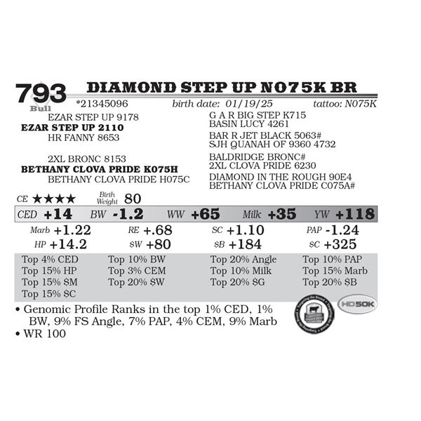 Diamond Step Up N075K BR