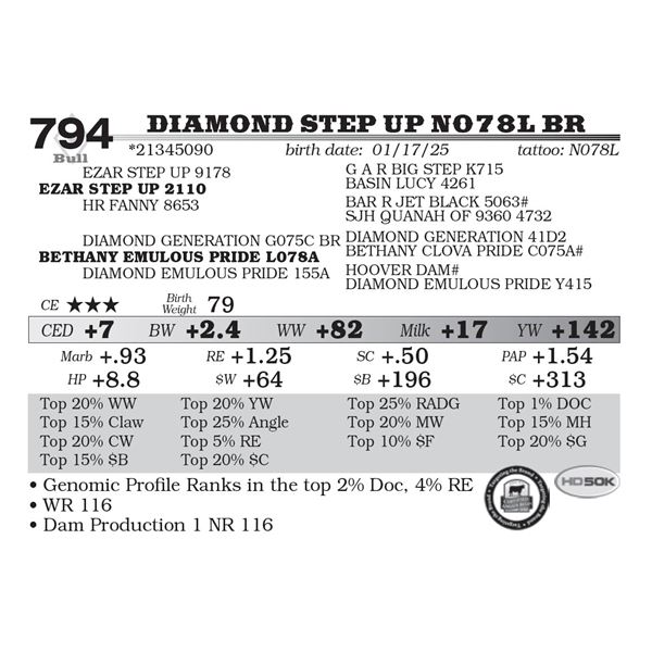 Diamond Step Up N078L BR