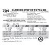 Image 1 : Diamond Step Up N078L BR