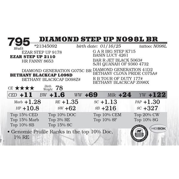 Diamond Step Up N098L BR