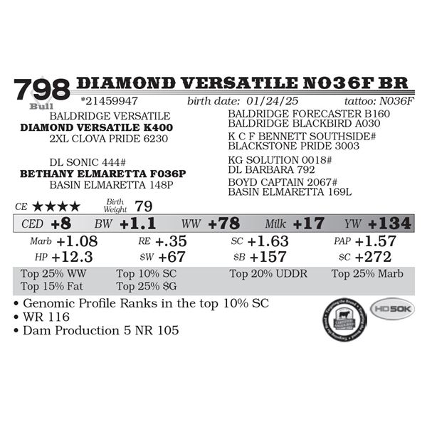 Diamond Versatile N036F BR