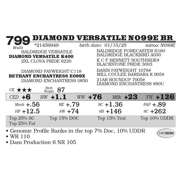 Diamond Versatile N099E BR