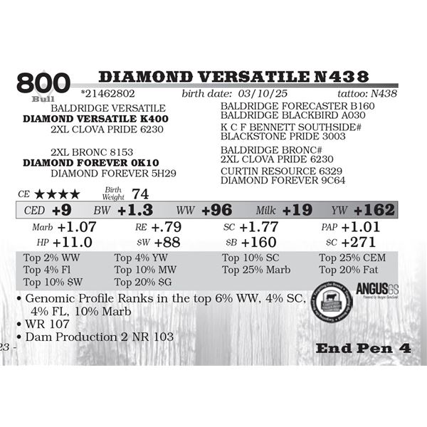 Diamond Versatile N438