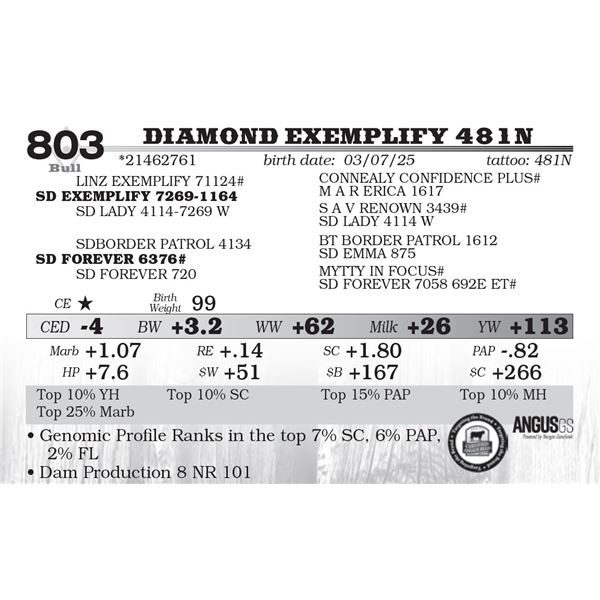 Diamond Exemplify 481N