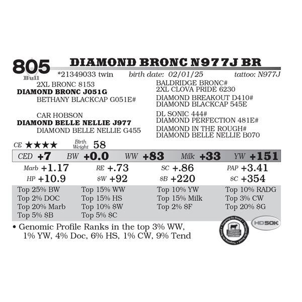 Diamond Bronc N977J BR