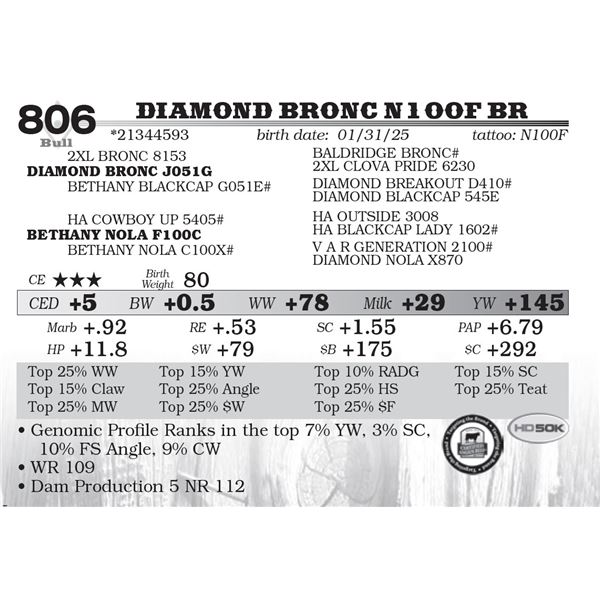 Diamond Bronc N100F BR