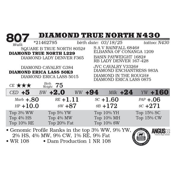 Diamond True North N430
