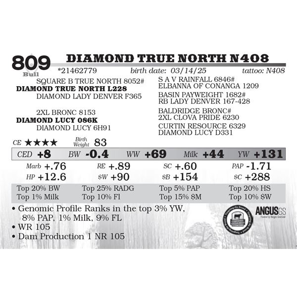 Diamond True North N408