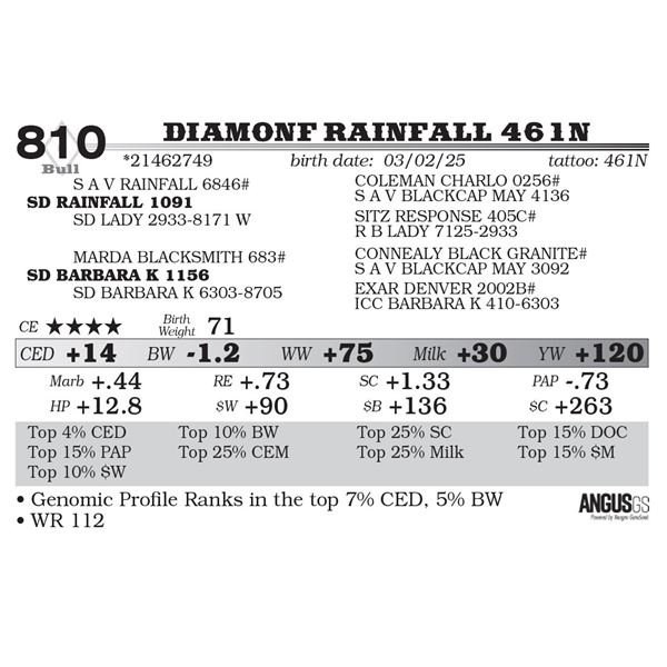 Diamonf Rainfall 461N