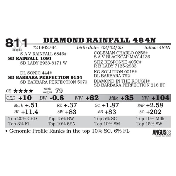 Diamond Rainfall 484N