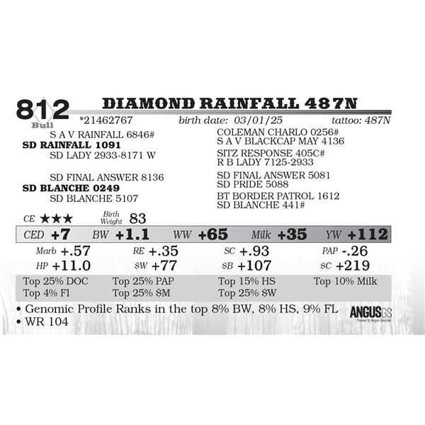 Diamond Rainfall 487N