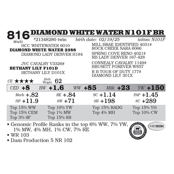 Diamond White Water N101F BR