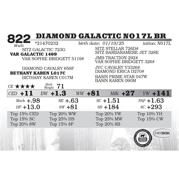 Diamond Galactic N017L BR