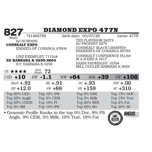 Diamond Expo 477N