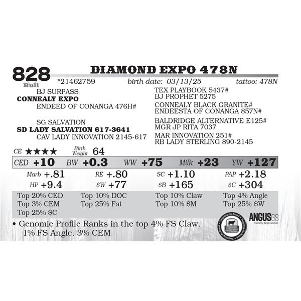 Diamond Expo 478N