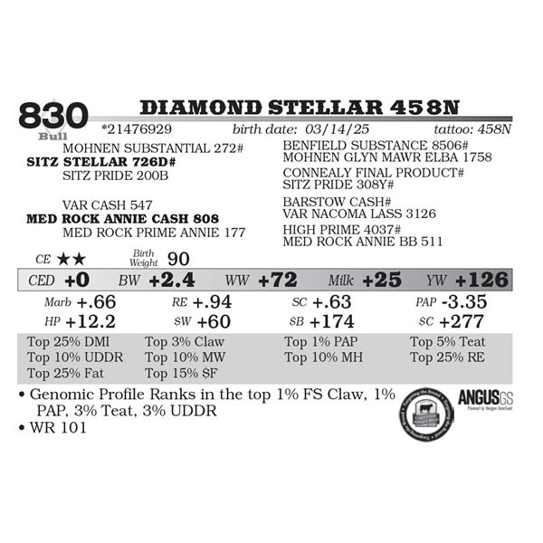 Diamond Stellar 458N
