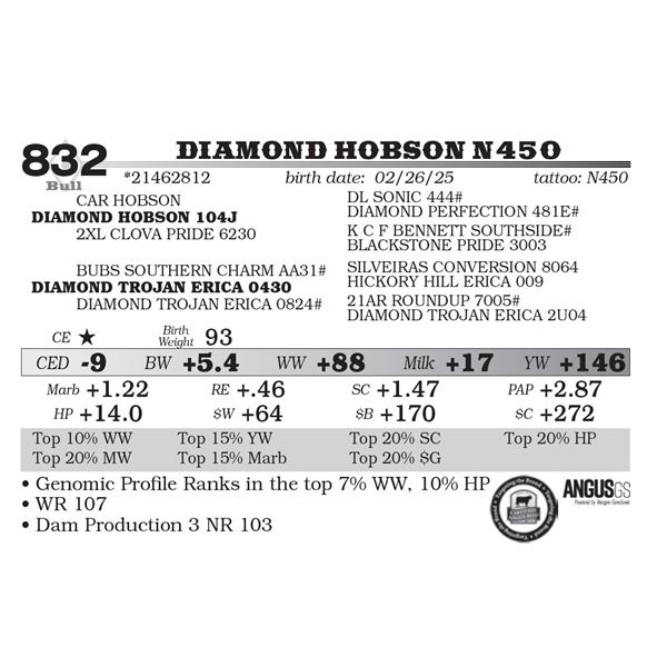 Diamond Hobson N450