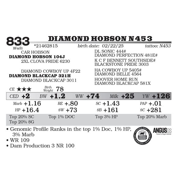 Diamond Hobson N453