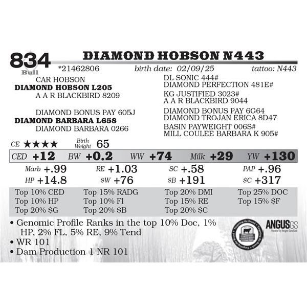 Diamond Hobson N443