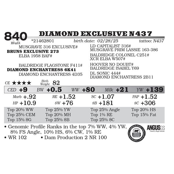Diamond Exclusive N437