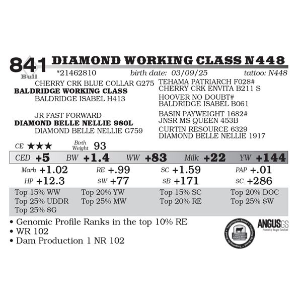 Diamond Working Class N448