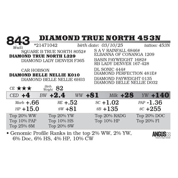 Diamond True North 453N