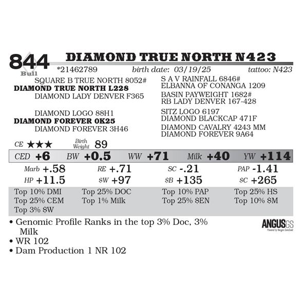 Diamond True North N423