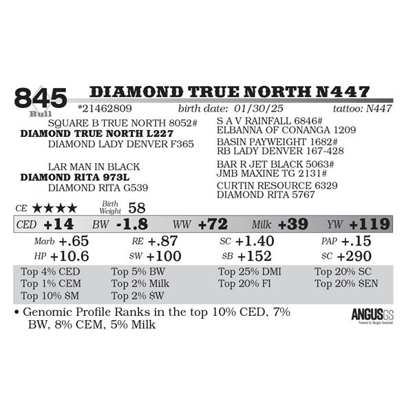 Diamond True North N447