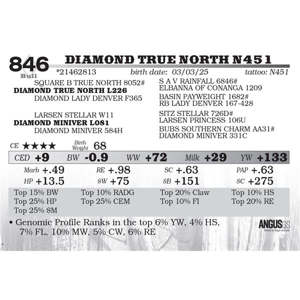 Diamond True North N451