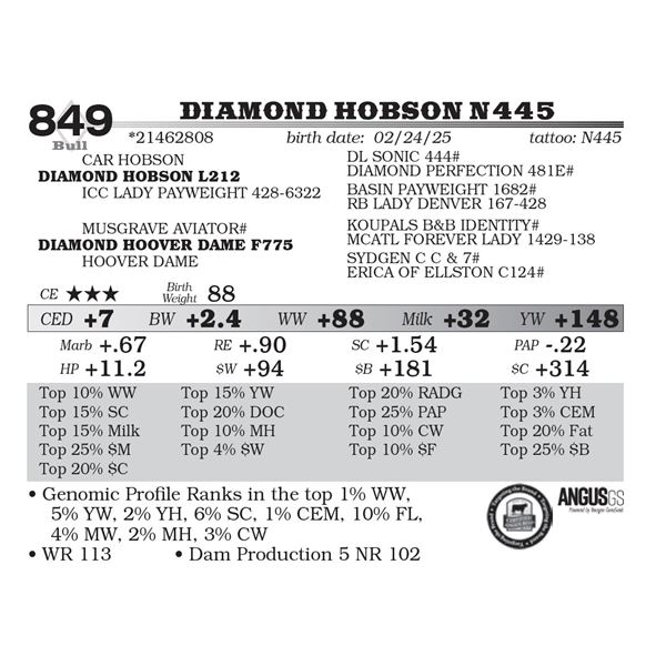 Diamond Hobson N445