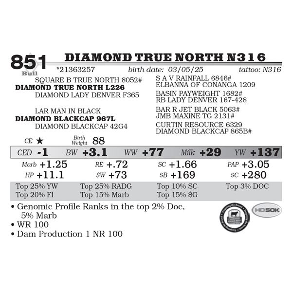 Diamond True North N316