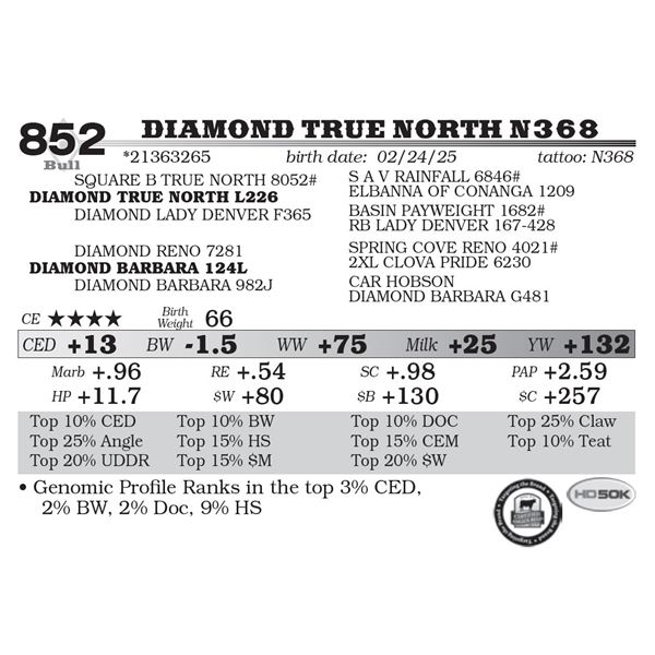 Diamond True North N368