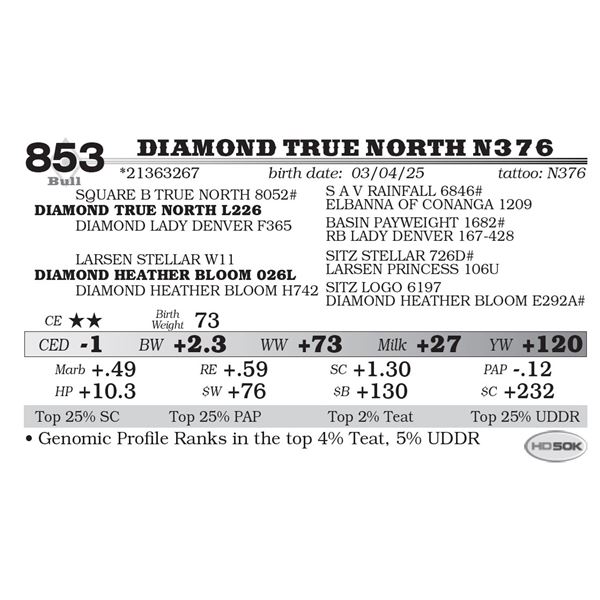 Diamond True North N376