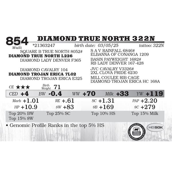 Diamond True North 322N