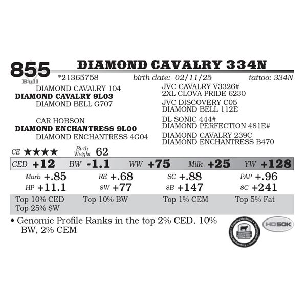 Diamond Cavalry 334N