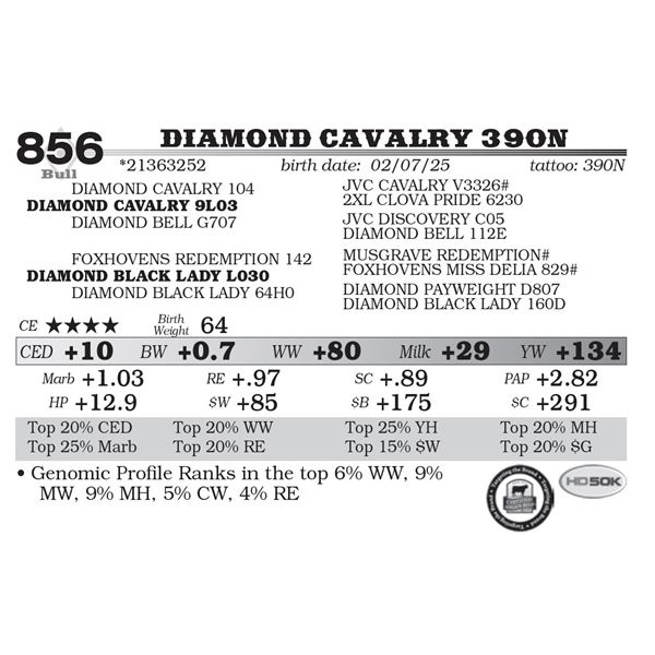 Diamond Cavalry 390N