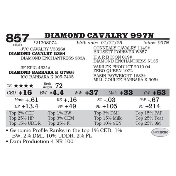 Diamond Cavalry 997N