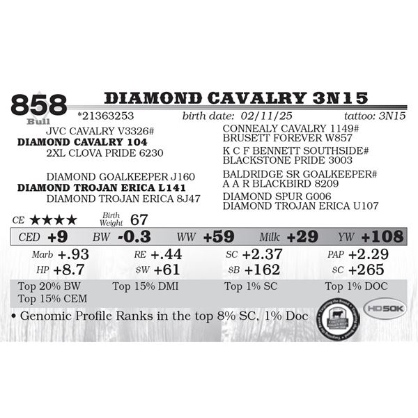 Diamond Cavalry 3N15