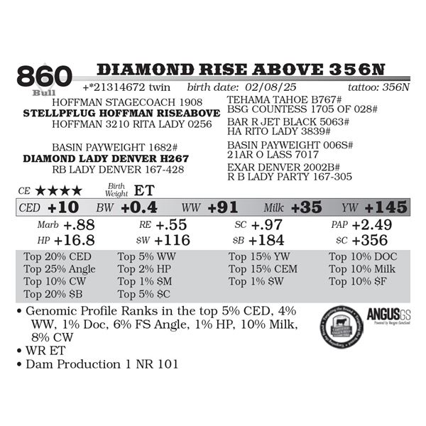 Diamond Rise Above 356N