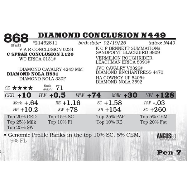 Diamond Conclusion N449