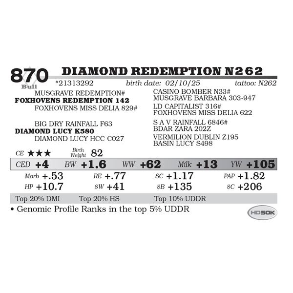 Diamond Redemption N262