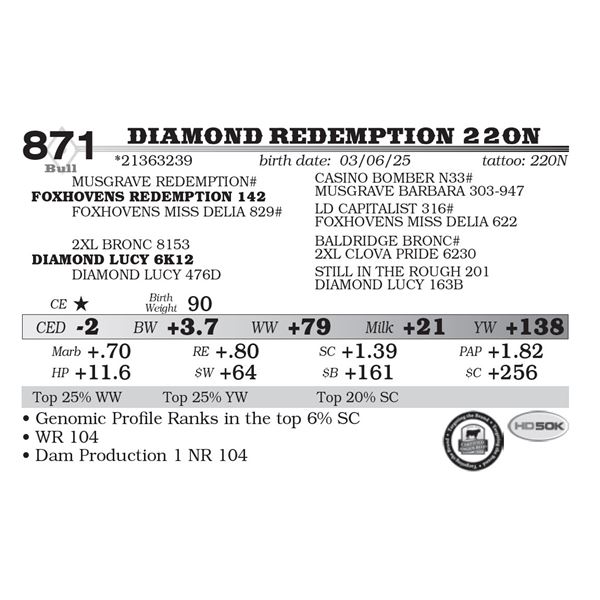 Diamond Redemption 220N