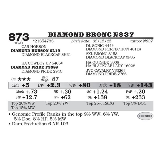 Diamond Bronc N837