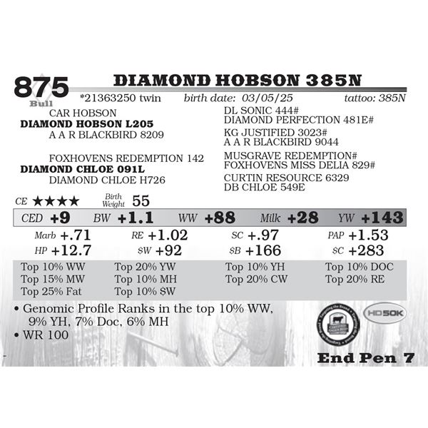 Diamond Hobson 385N